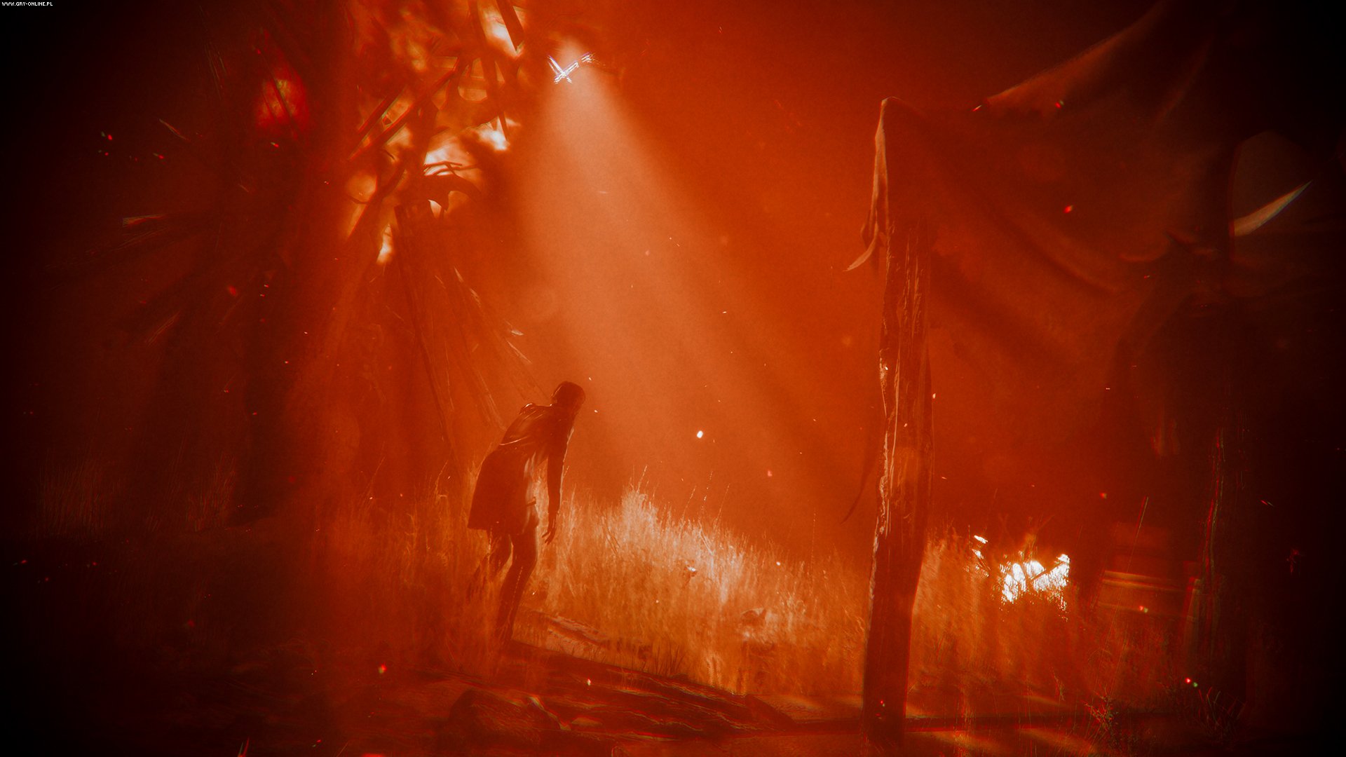 maid-of-sker-kod-w-pudelku-02