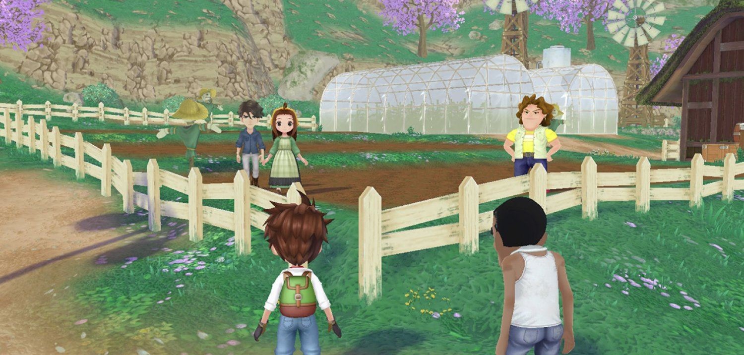 story-of-seasons-a-wonderful-life-1-01