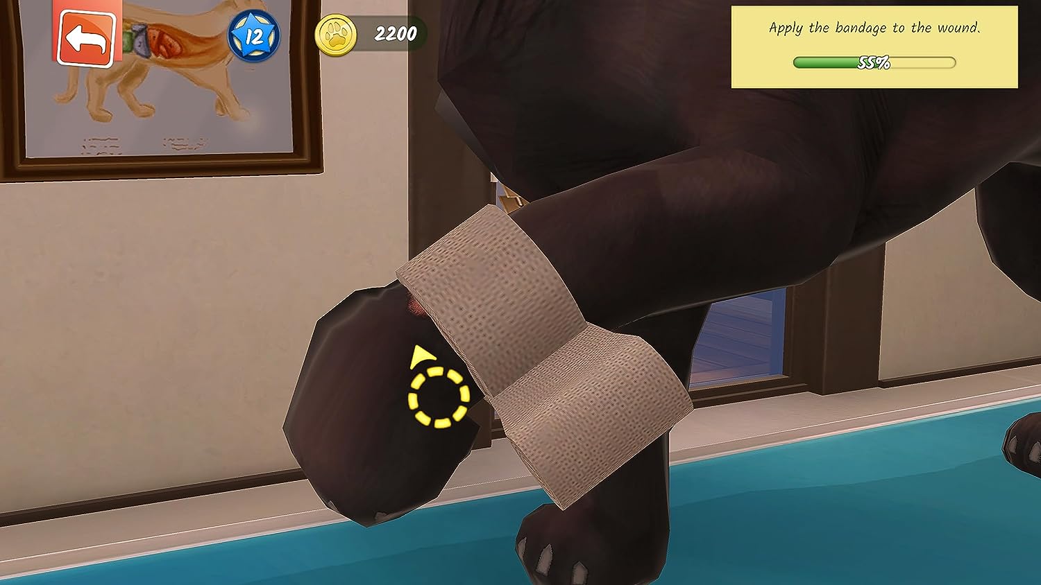 animal-hospital-2-03