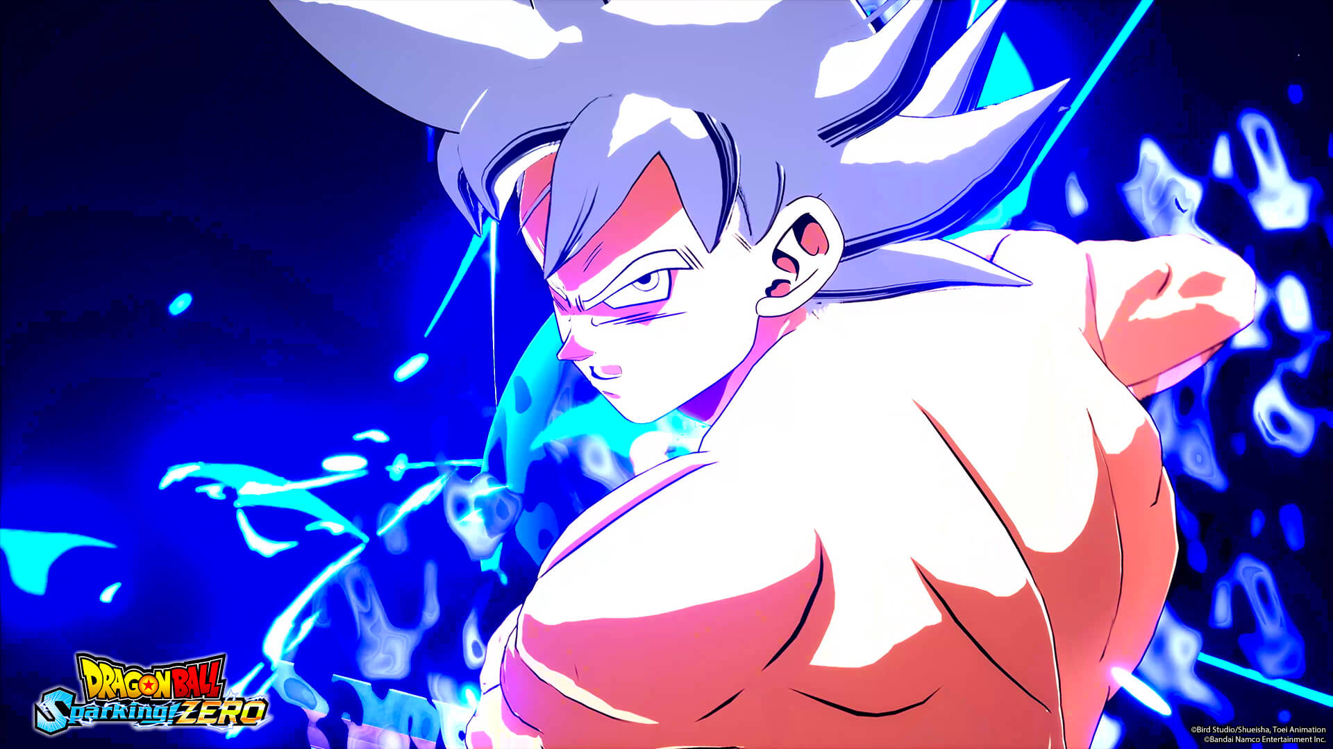 dragon-ball-sparking-zero-collectors-edition-07