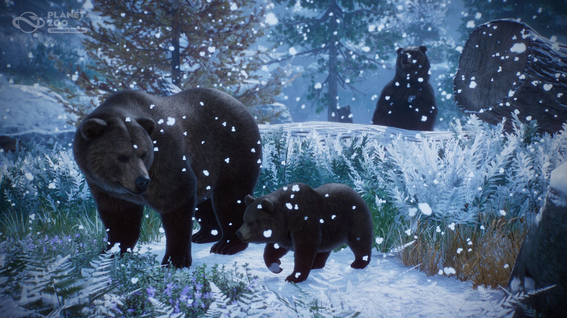 planet-zoo-console-edition-06