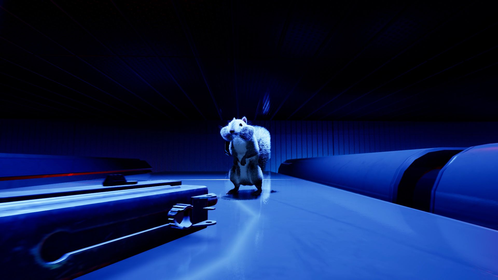 squirrel-with-a-gun-1-07