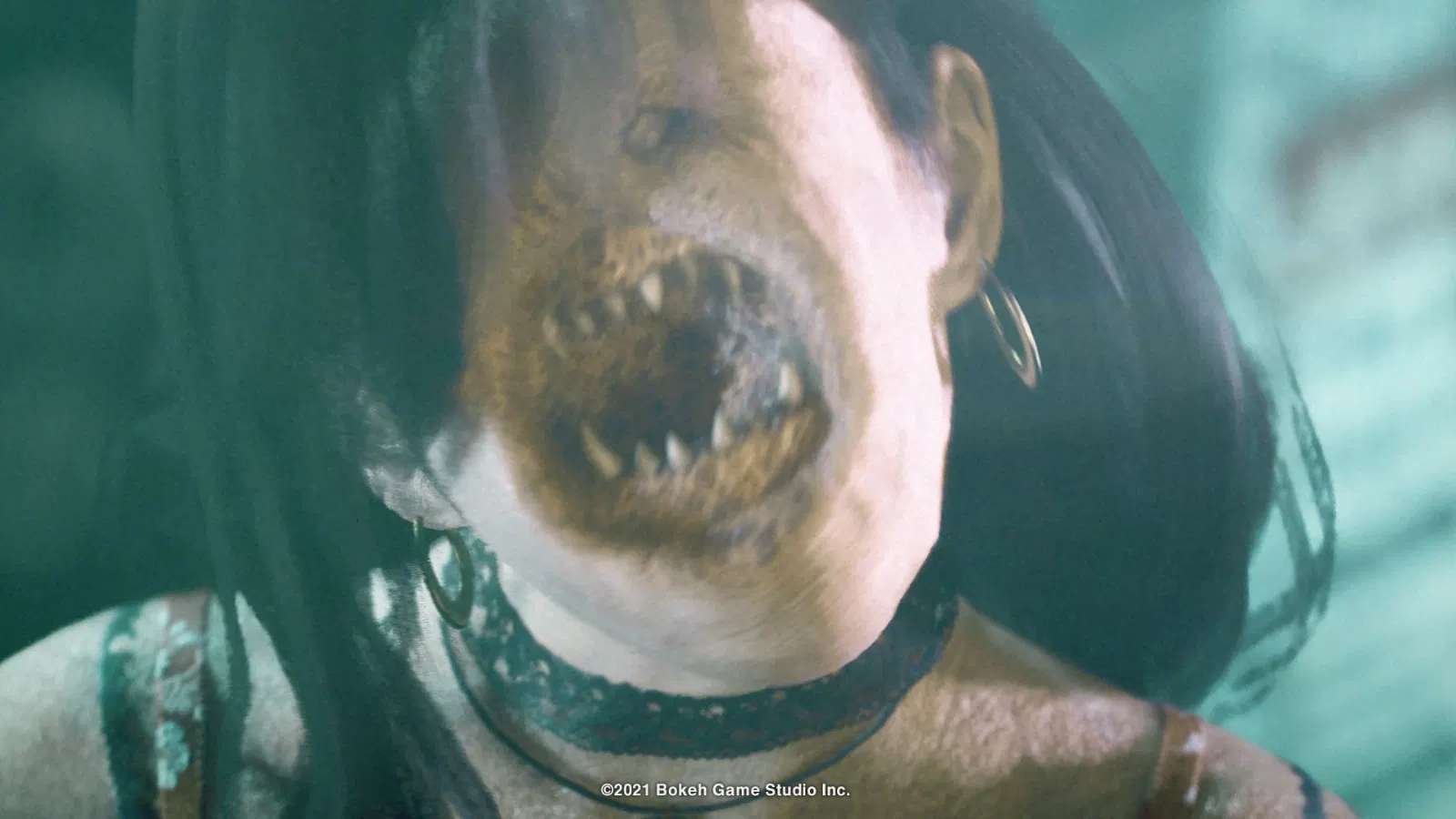 slitterhead-import-05