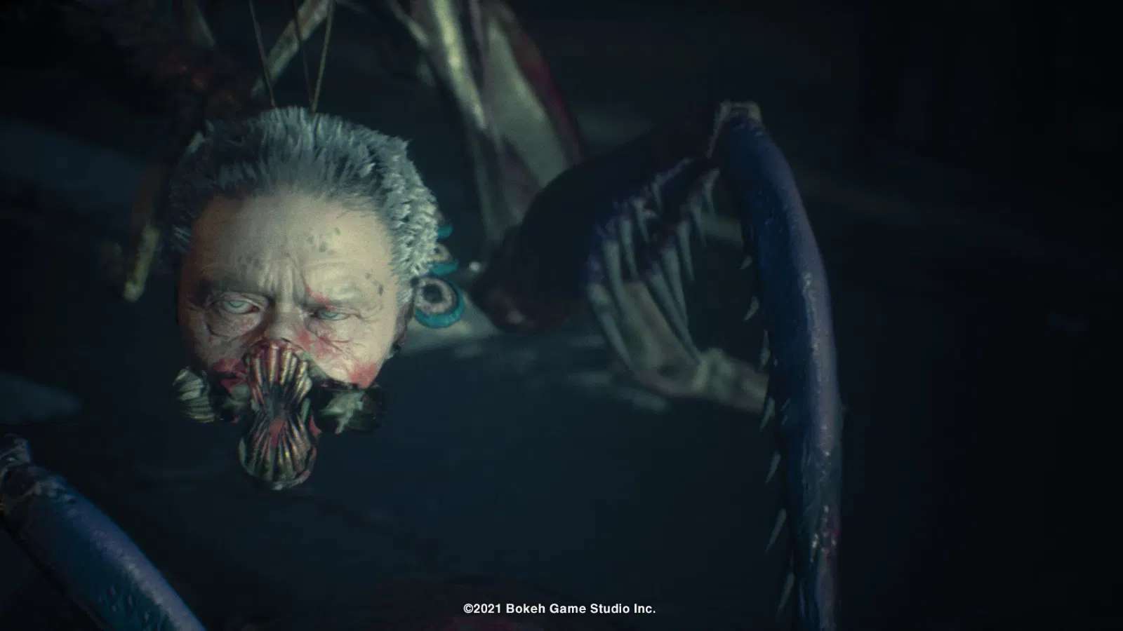 slitterhead-import-06