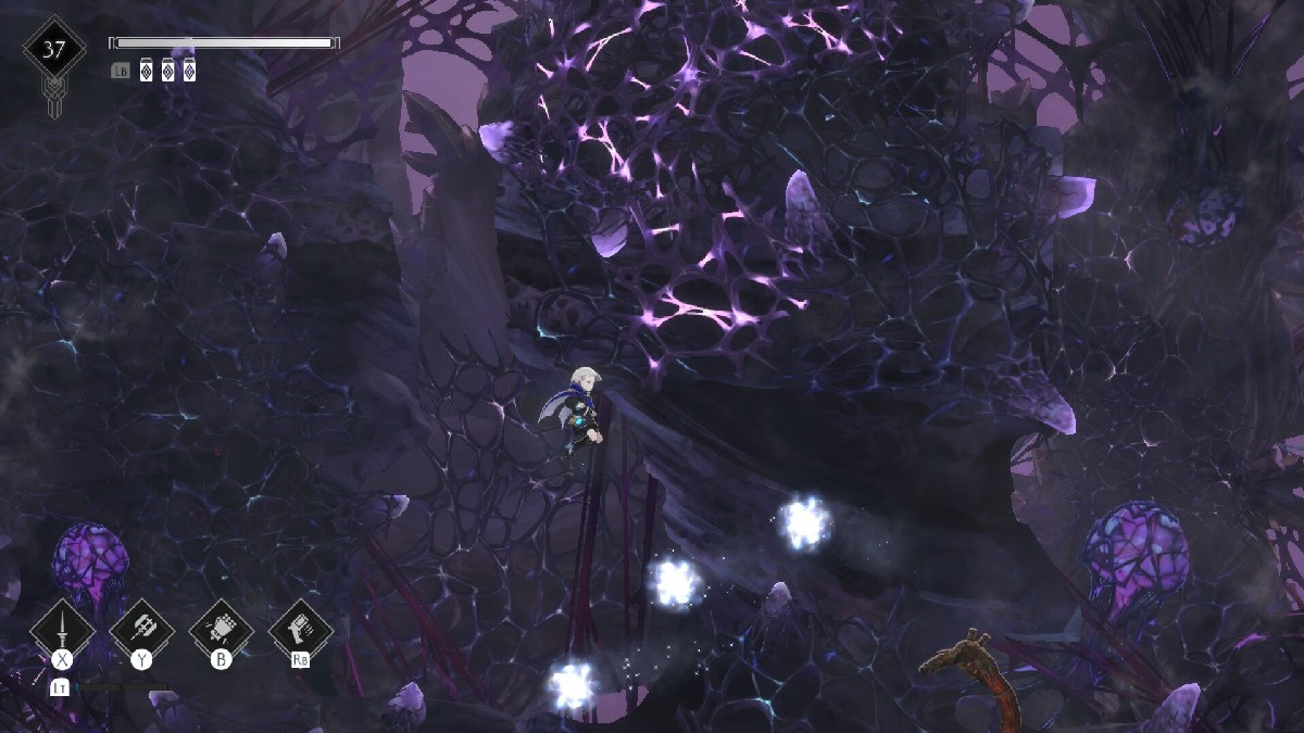 ender-magnolia-bloom-in-the-mist-import-09